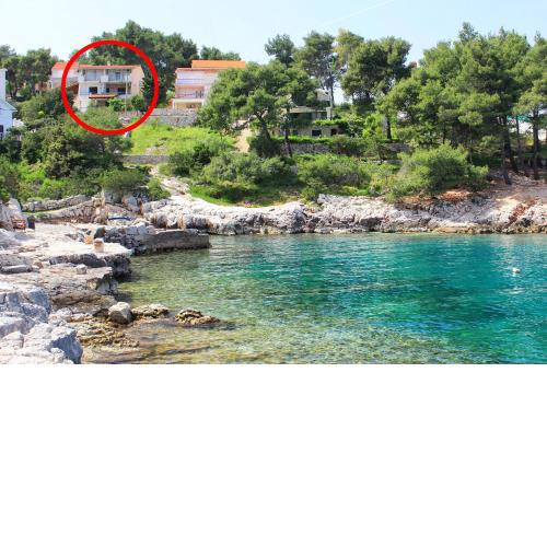 Apartments by the sea Basina, Hvar - 11817
