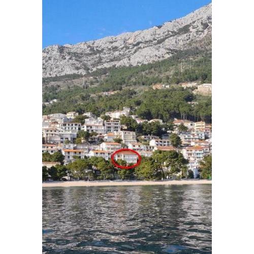 Apartments by the sea Brela, Makarska - 20598