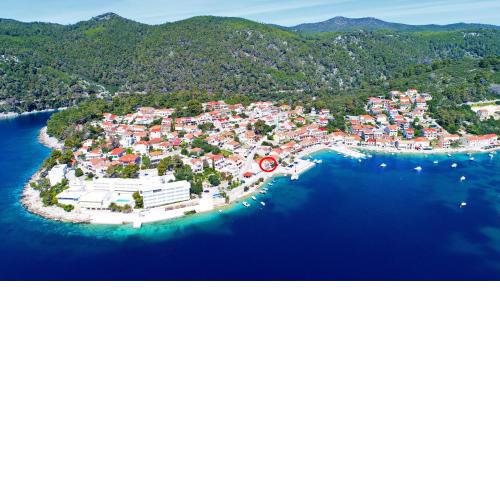 Apartments by the sea Brna, Korcula - 4463