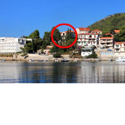 Apartments by the sea Brna, Korcula - 9139