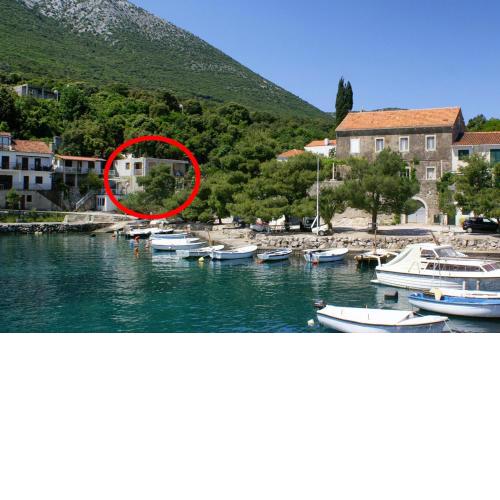 Apartments by the sea Cove Crkvice, Peljesac - 17667