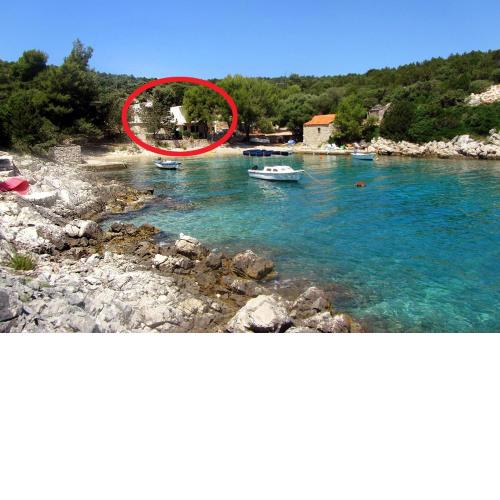 Apartments by the sea Cove Milna - Zastrazisce, Hvar - 8951