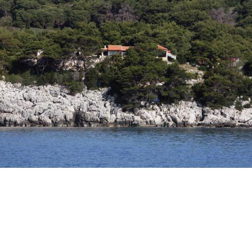 Apartments by the sea Cove Saplunara, Mljet - 4925