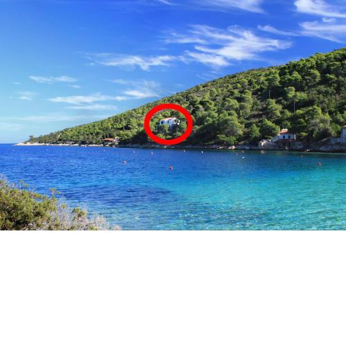 Apartments by the sea Cove Stoncica, Vis - 8941