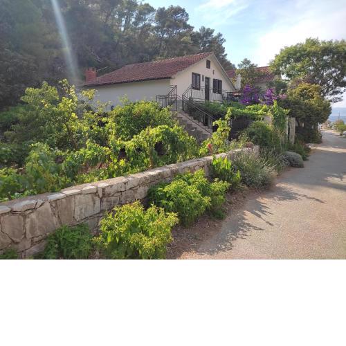 Apartments by the sea Cove Vela Stiniva, Hvar - 19951