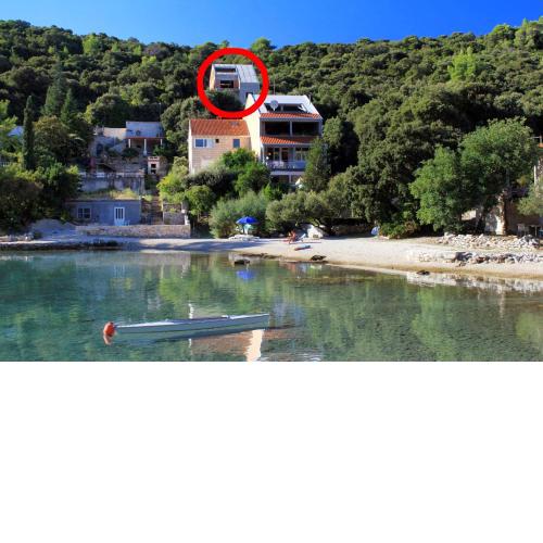 Apartments by the sea Cove Vrbovica bay - Vrbovica (Korcula) - 9225