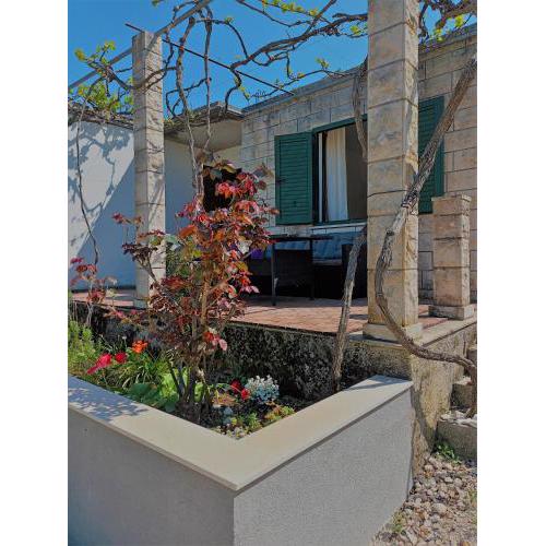 Apartments by the sea Cove Vrbovica, Korcula - 19601