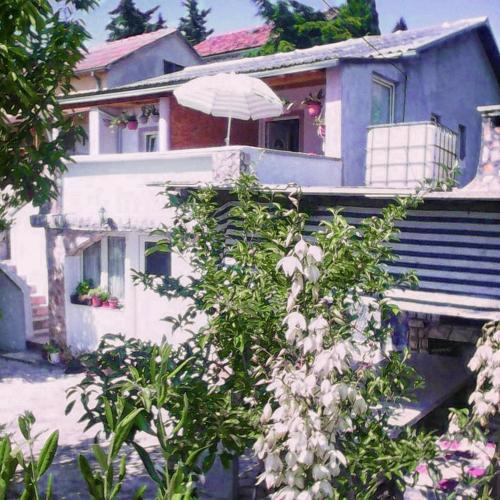 Apartments by the sea Gornji Karin, Novigrad - 16716
