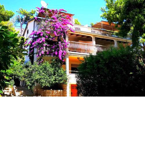 Apartments by the sea Ivan Dolac, Hvar - 8700