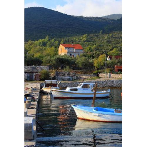 Apartments by the sea Kneza, Korcula - 9164