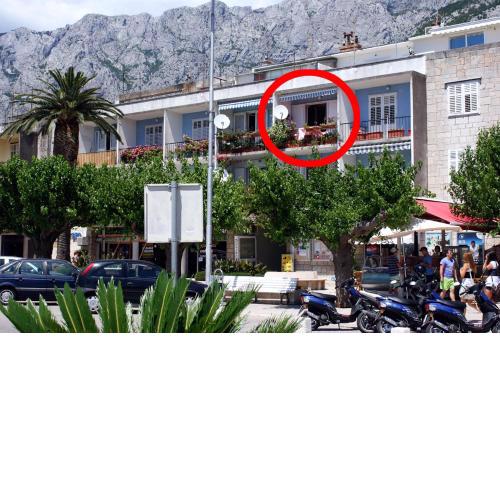 Apartments by the sea Makarska - 6843