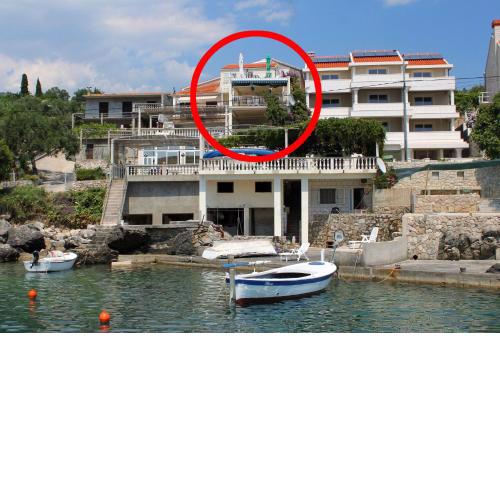 Apartments by the sea Molunat, Dubrovnik - 2137