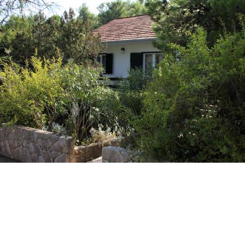 Apartments by the sea Mudri Dolac, Hvar - 4042