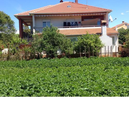 Apartments by the sea Muline, Ugljan - 12533
