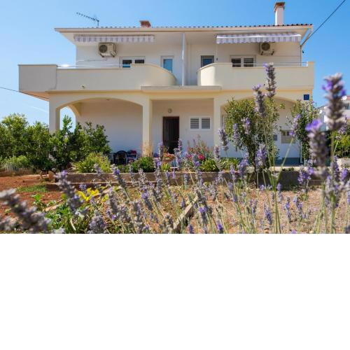 Apartments by the sea Petrcane, Zadar - 17342