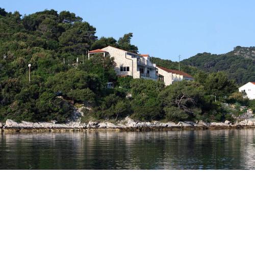 Apartments by the sea Polace, Mljet - 613