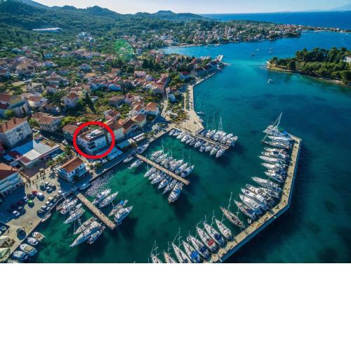 Apartments by the sea Preko, Ugljan - 14244