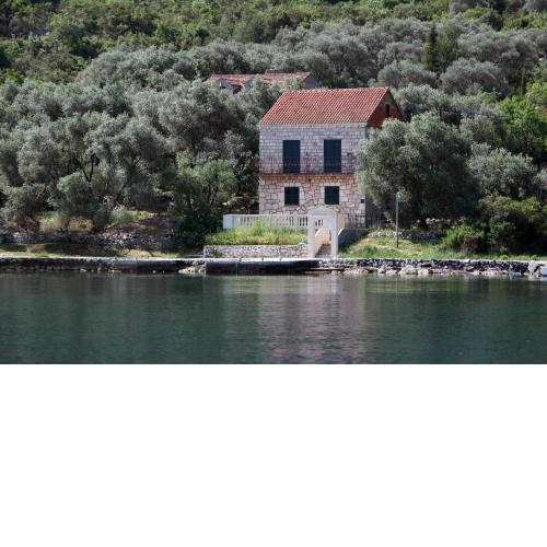 Apartments by the sea Prozurska Luka, Mljet - 619