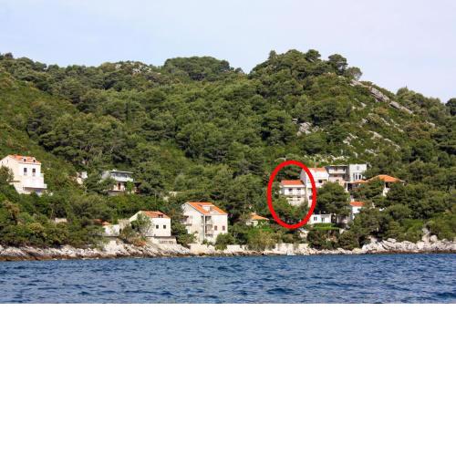 Apartments by the sea Sobra, Mljet - 4908