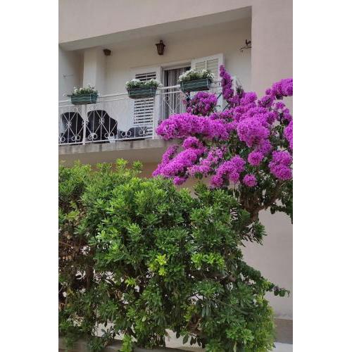 Apartments by the sea Trpanj, Peljesac - 14309