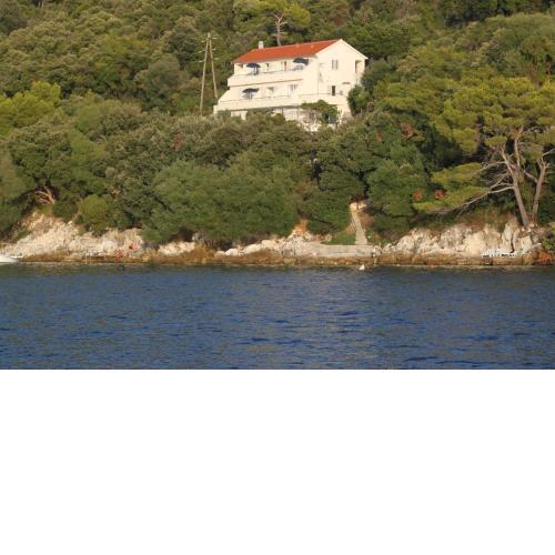 Apartments by the sea Ubli, Lastovo - 8355