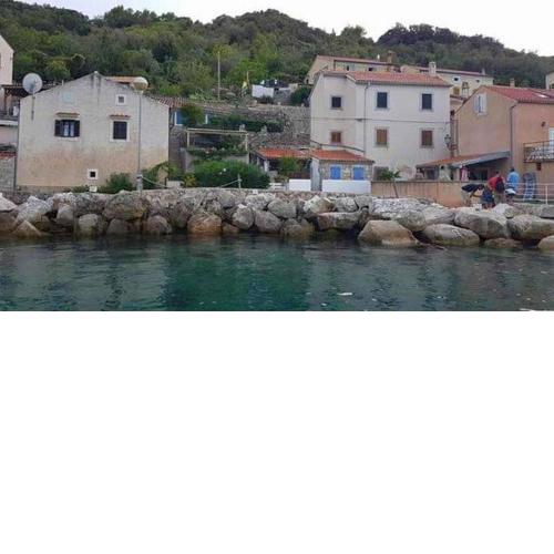Apartments by the sea Valun, Cres - 20860