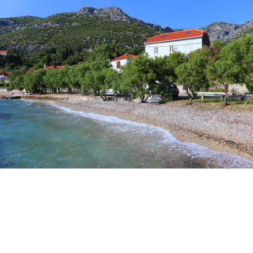 Apartments by the sea Viganj, Peljesac - 10140