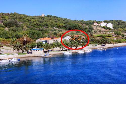 Apartments by the sea Vis - 13169