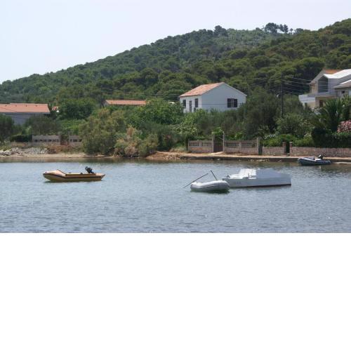 Apartments by the sea Vrgada, Biograd - 4206