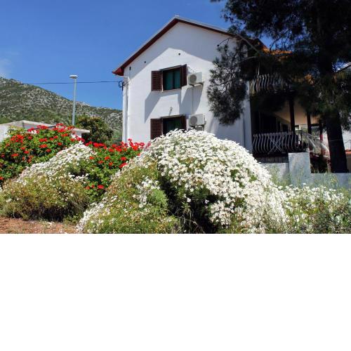 Apartments by the sea Zavala, Hvar - 594