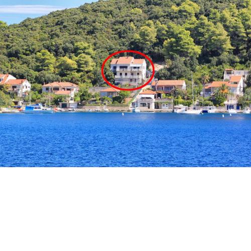 Apartments by the sea Zrnovska Banja, Korcula - 4443