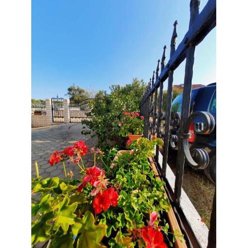 Apartments Dalmatia