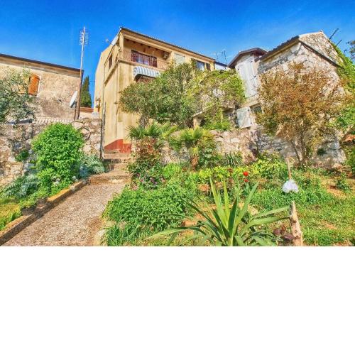 Apartments Danica 271