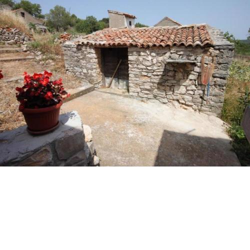 Apartments Darka