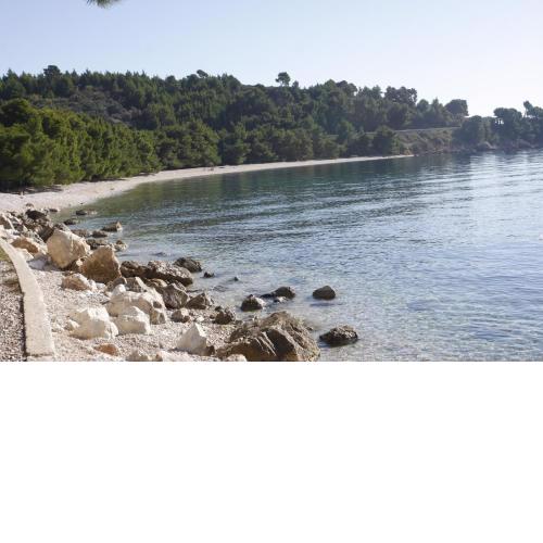 Apartments Delfin