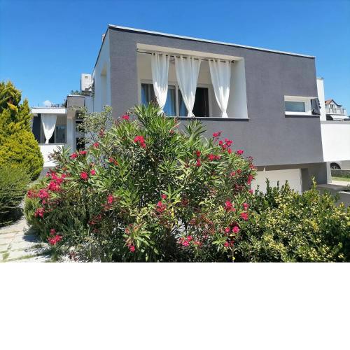 Apartments Dora Bibinje, 30 m from the sea