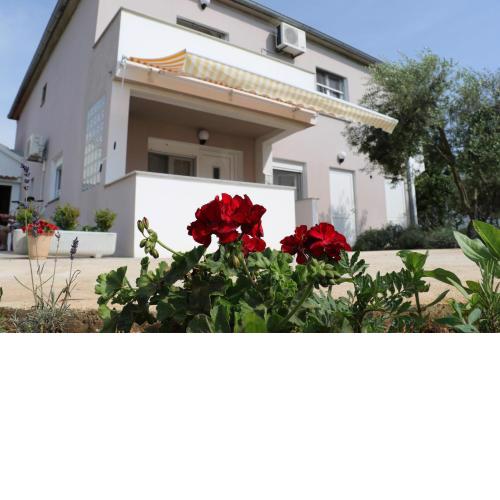 Apartments for families with children Zaton, Zadar - 17268