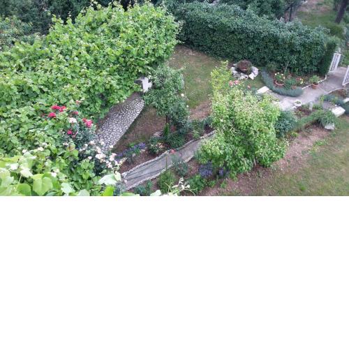 Apartments Frkovic