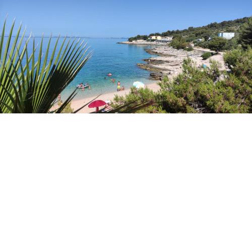 Apartments Galeb