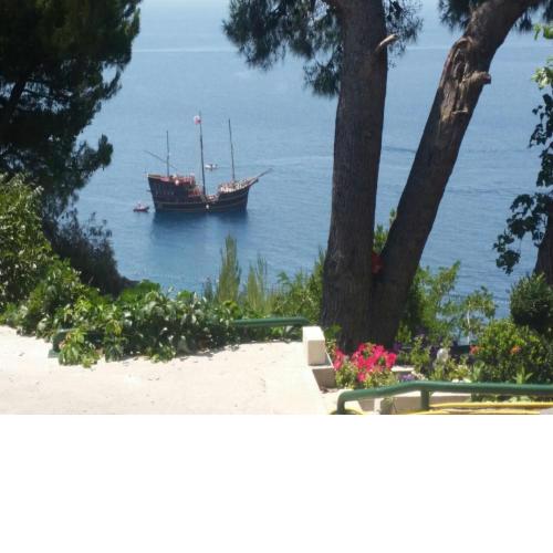 Apartments Garac
