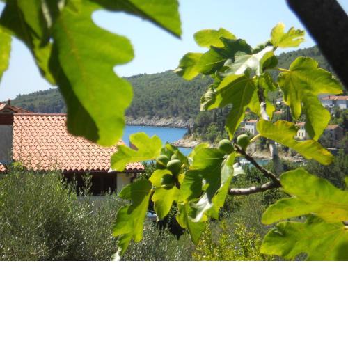 Apartments Ida Sveta Marina