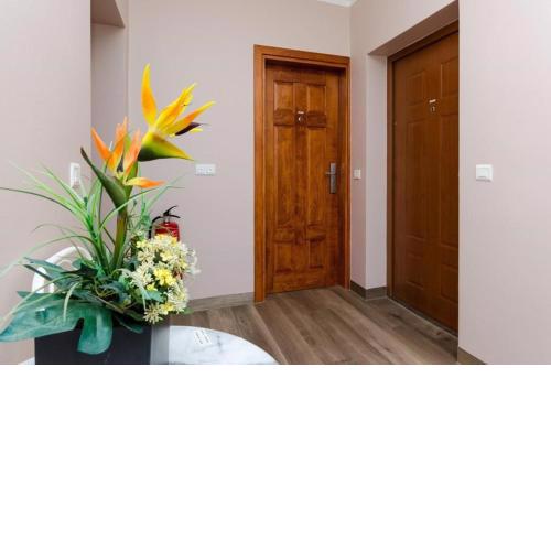 Apartments in Crikvenica 5281