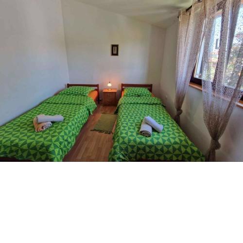 Apartments in Porec - Istrien 47151