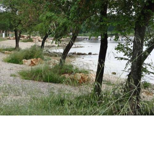 Apartments in Porec - Istrien 51166