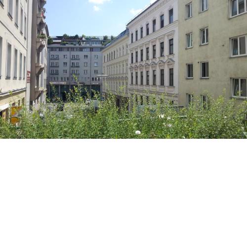 Apartments-in-vienna