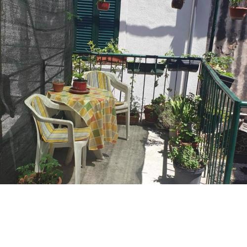 Apartments Iva