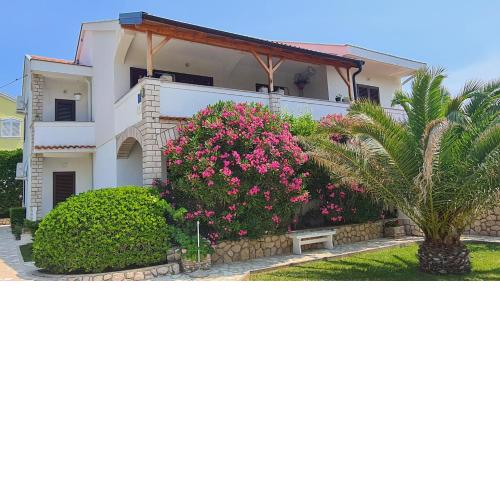 Apartments Ivo
