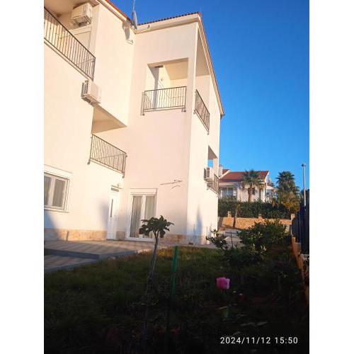 Apartments Jela