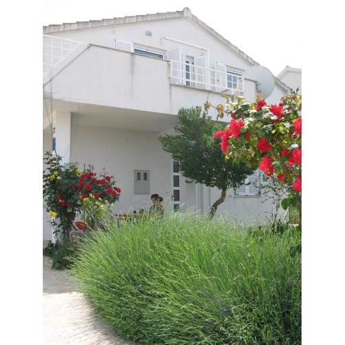 Apartments Jelena