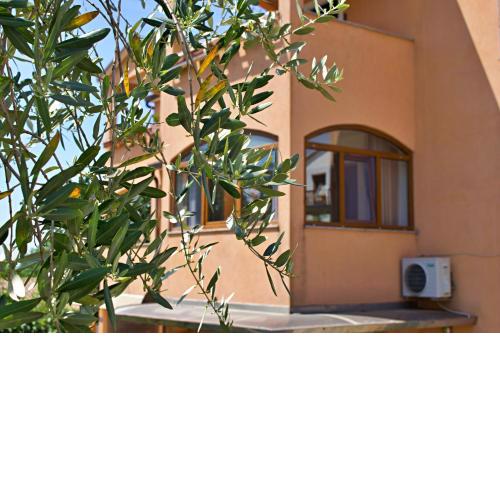 Apartments Kanegra